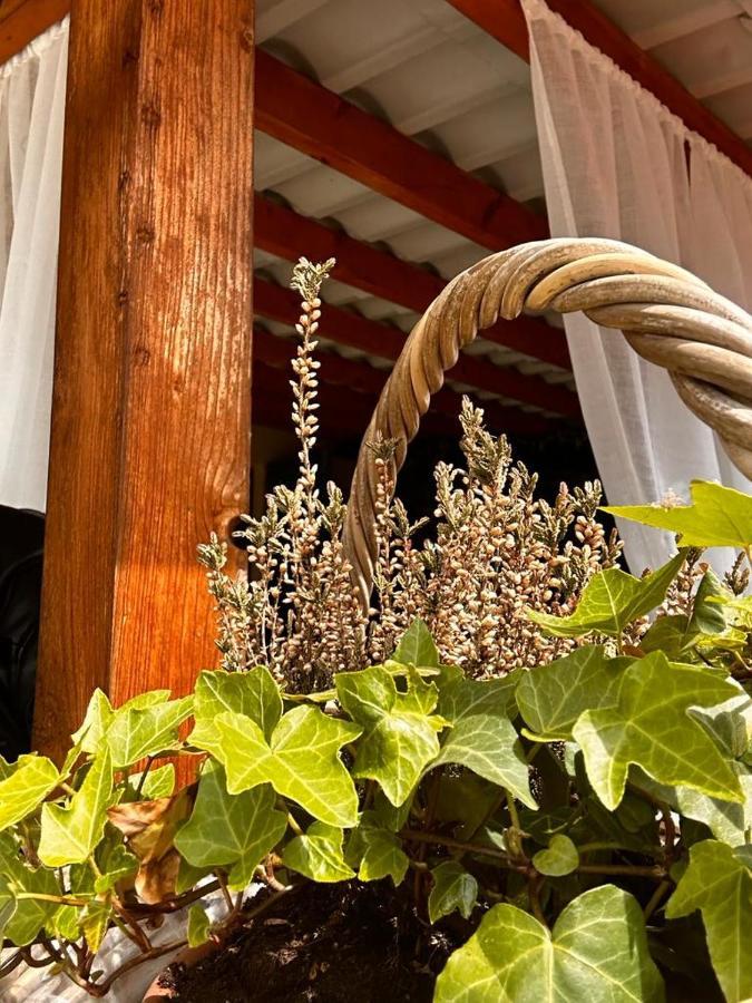 アスティBon Bon Del Corso Con Terrazzo E Aria Condizionataアパートメント エクステリア 写真